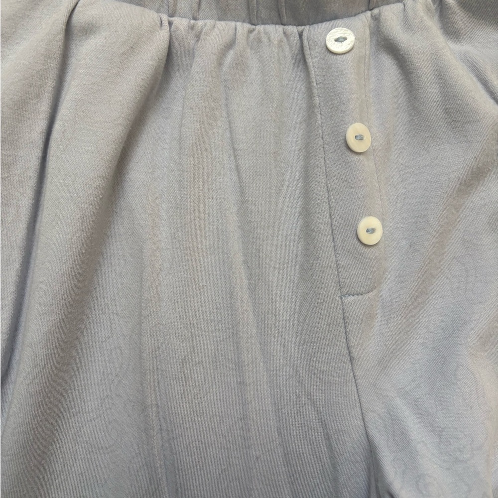 Roller Rabbit Soft Blue Garment - Picture 2 of 3
